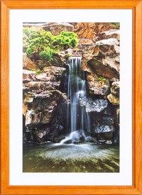 Фото